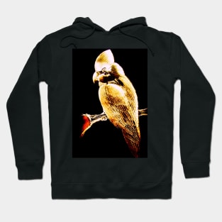 LUSTRE TROPICAL COCKATOO Hoodie